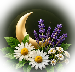 Moon, chamomile blossoms and purple flowers