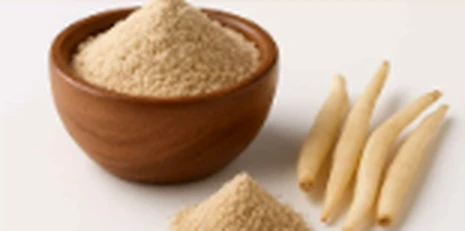 Safed Musli botanical