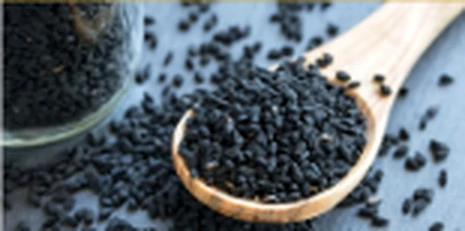 Kalonji botanical
