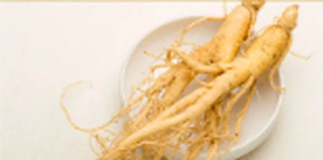 Korean Ginseng botanical